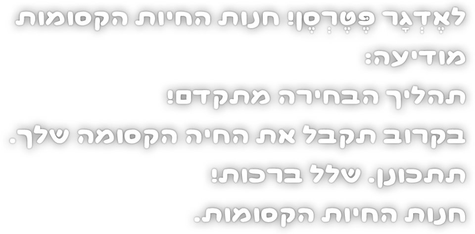 כי אילו זכר לקחת את מחברת החשבון, הוא היה יכול לקרוא את ההודעה הקסומה שזהרה באותו הרגע בבוהַק יציב. וזה מה שהיה כתוב בה: